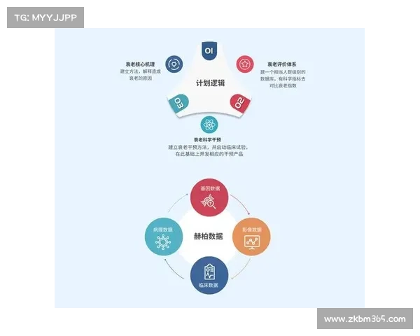 全面深入探索五大联赛独特魅力与多维核心竞争优势的体系全景解读