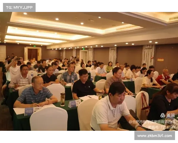 如何全面体验FM联赛模式的深度与魅力从策略到管理的全方位探索